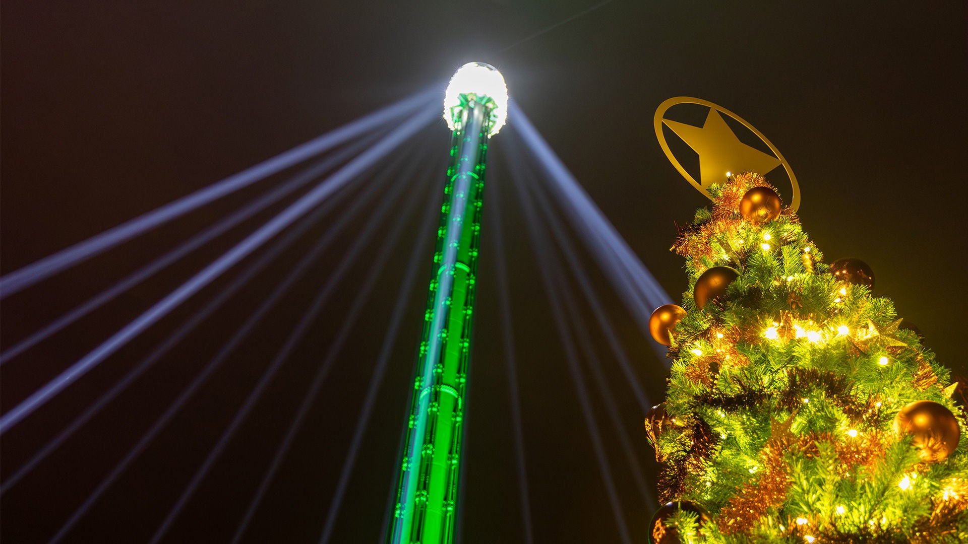 Wave Swinger - Walibi Winter 2024