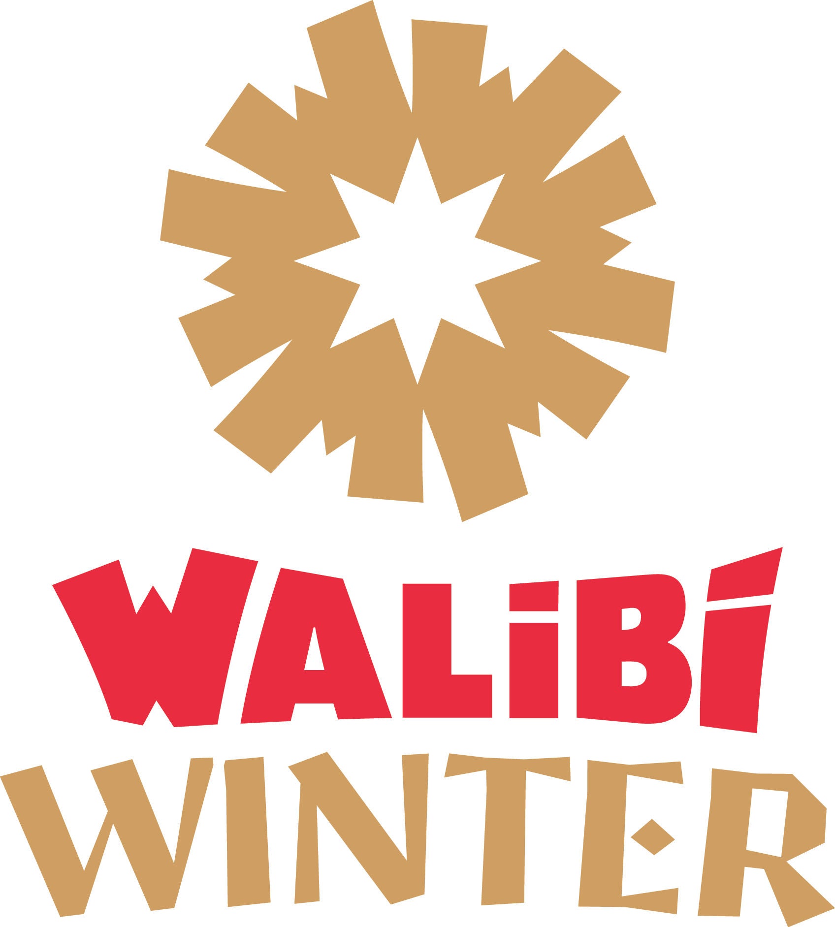 Walibi Winter