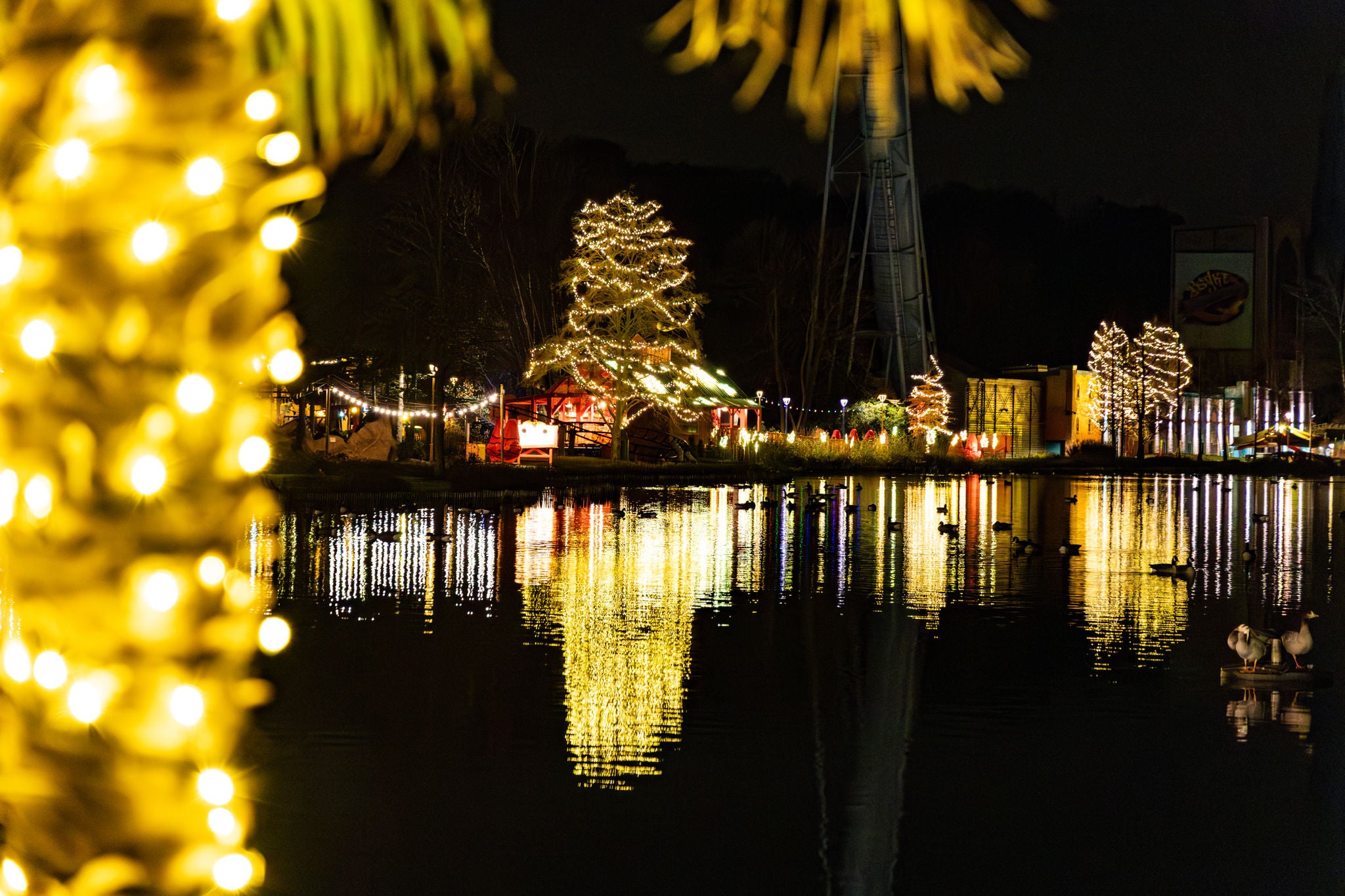 Retrouvez toutes nos offres (tickets & abonnements) pour s'amuser en illimité à Walibi  Belgium